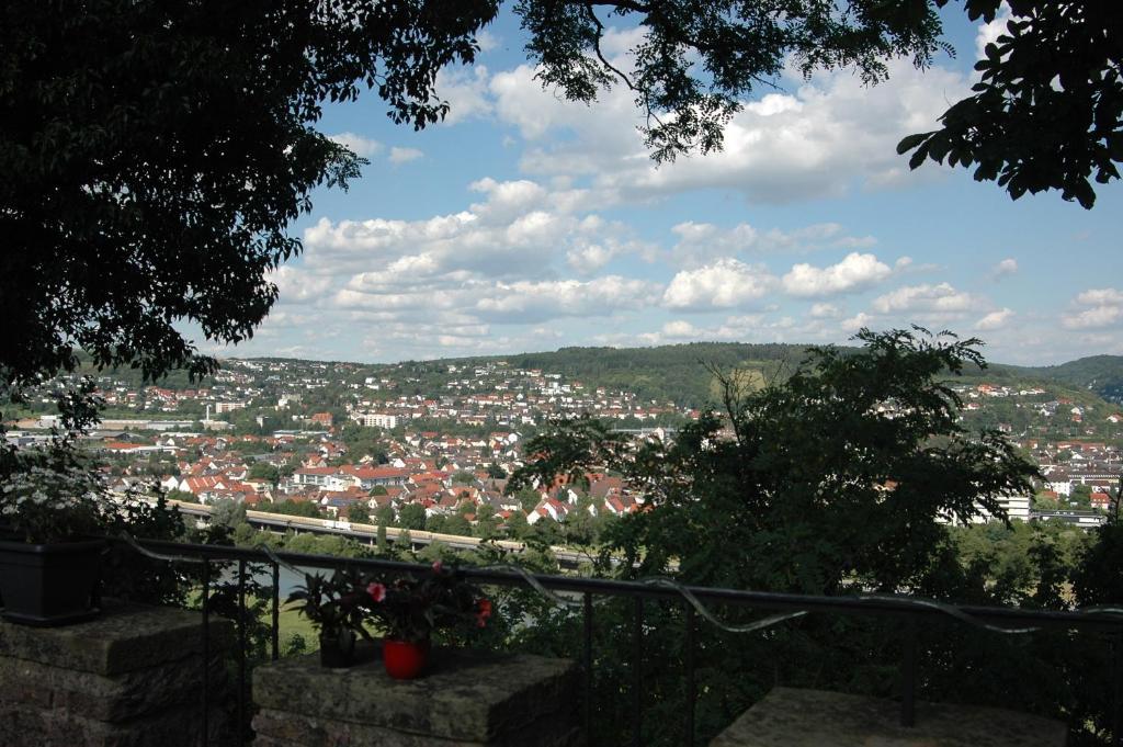 Schloss Neuburg Hotel Mosbach  Exterior foto